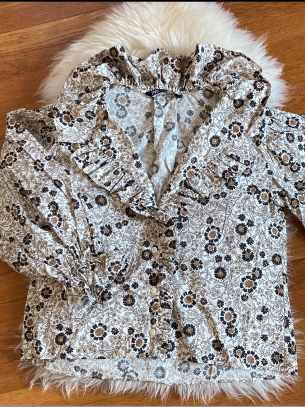NWOT Zara Cotton Poplin Poet Sleeve  Ruffled Collar Buttoned Front Top
